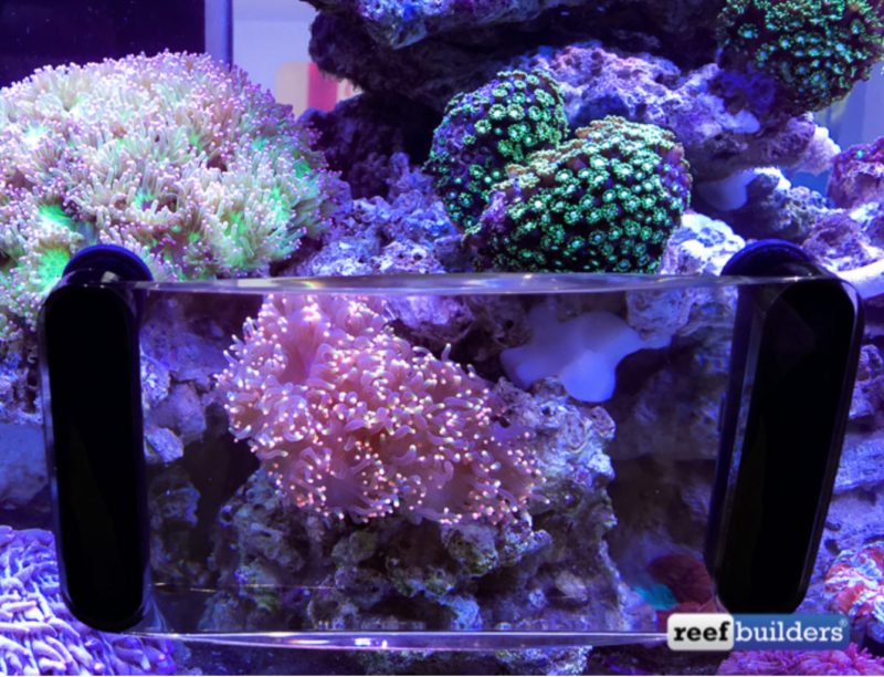 Maxspect Fragnifier - viacúčelová širokouhlá lupa