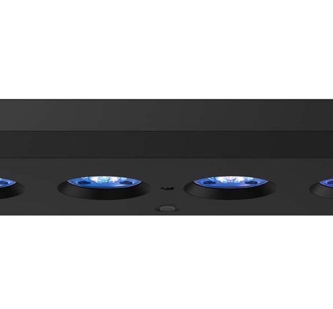 AI HYDRA 64HD 135W - ČIERNA