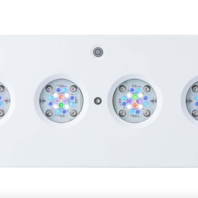 AI HYDRA 64HD 135W - BIELA