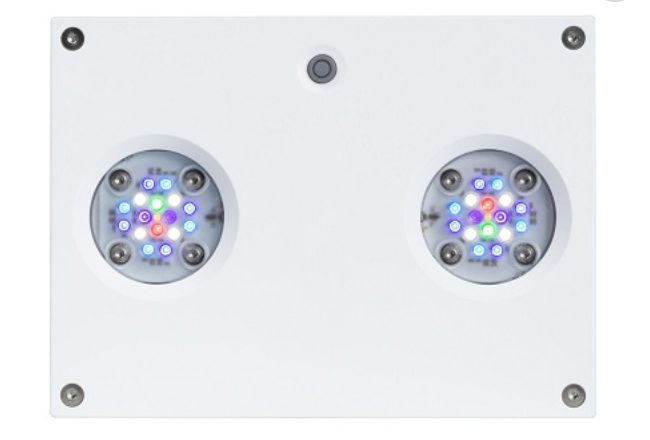 AI HYDRA 32HD 90W - BIELA