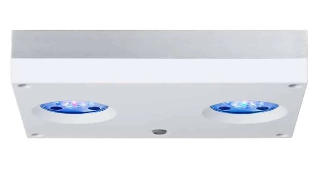 AI HYDRA 32HD 90W - BIELA